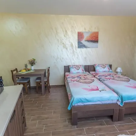 Drina Apartment *